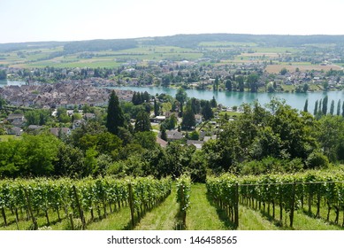 Stein Am Rhein Switzerland Rhine Panorama View Wine And Hegau
