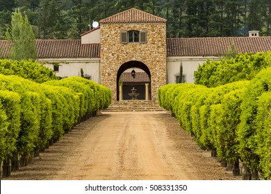 Stellenbosch Wine Region Close To Cape Town In South Africa