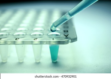 Stem Cell Research Pipette 