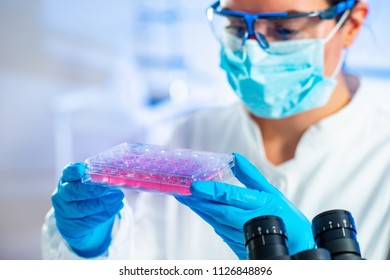  Stem Cell Researcher Working In Laboratory