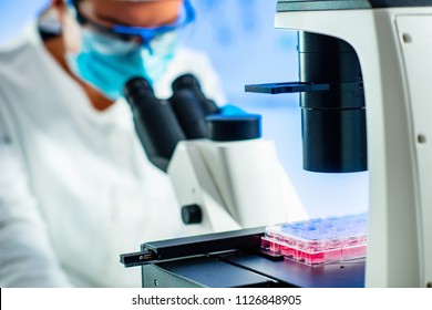  Stem Cell Researcher Working In Laboratory