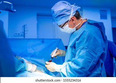 Stem Cells Operation. Health Care Concept. Surgeons Team Working. Bone Marrow Transplant Operation. Plasma In Syringe. Selective Focus. Medical Room Background.