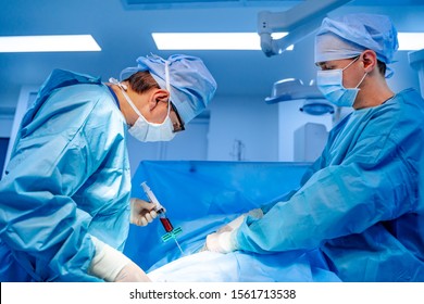 Stem cells operation. Health care concept. Surgeons team working. Bone marrow transplant operation. Plasma in syringe. Selective focus. Medical room background.