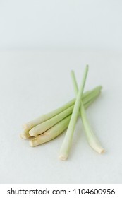 stem on white background