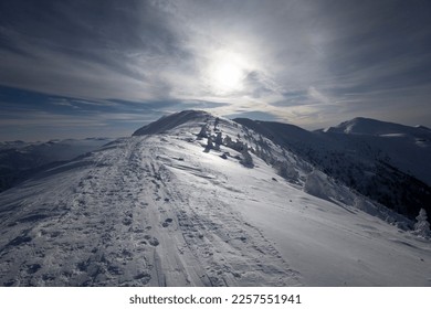 Steny, Mala Fatra, Slovakia - touristic track, trail, footpath and pathway on the mountain ridge. Landscape in the winter and wintertime. Evening backlight and nature covered by snow. Heavy vignetting - Shutterstock ID 2257551941