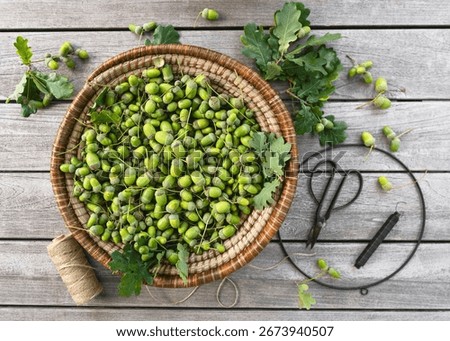 Step 1. Rustic flat lay features a basket of unripe green acorns, ready for crafting. Twine, clippers, and a wreath ring hint at a DIY project inspired by the forest.