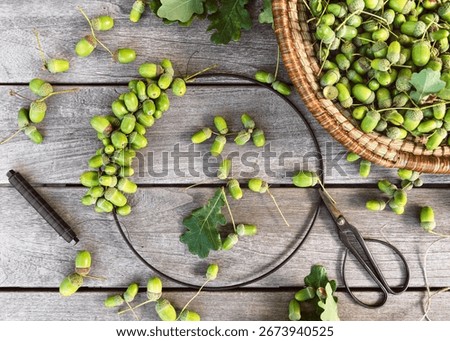 Step 2. Attach acorns to the frame by tying their stems or gluing them onto the twine base. Work your way around the circle, placing acorns close together. Step by step DIY concept.