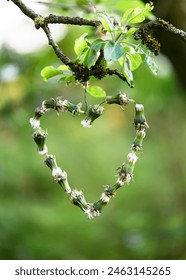 Step 5. Hang it up and wait. Making summer garland decor in heart shape from dandelion buds. Easy fun kids crafts concept. Step by step tutorial
