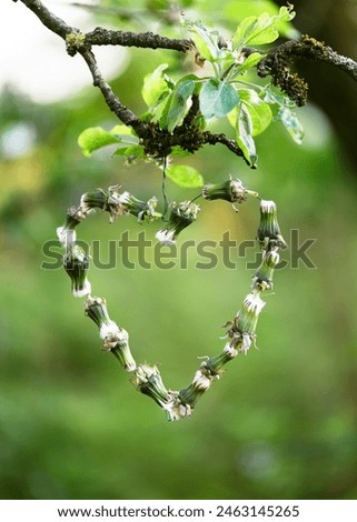 Step 5. Hang it up and wait. Making summer garland decor in heart shape from dandelion buds. Easy fun kids crafts concept. Step by step tutorial
