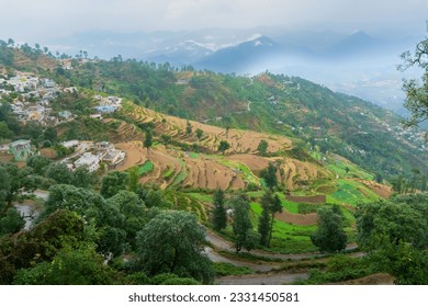 Step agriculture, or terrace agriculture. Steep hills or mountainsides are cut to form level areas for planting of crops. Foggy, misty Himalayan mountains background, Garhwal, Uttarakhand, India.