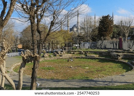 Step back in time with the stunning ruins of the Great Palace of Constantinople. Ancient bricks and remnants of history stand in the shadow of the magnificent Blue Mosque.