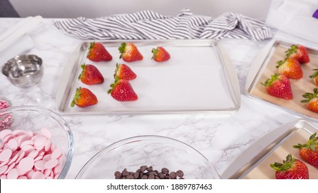 Step By Step. Arranging Organic Strawberries On A Baking Sheet To Make Chocolate Dipped Strawberries.