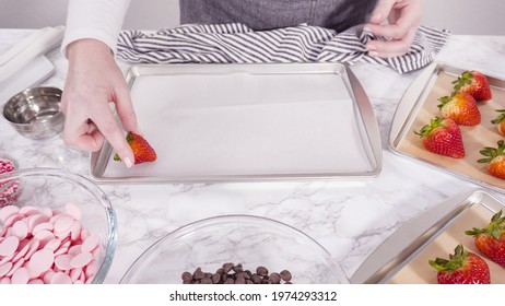 Step By Step. Arranging Organic Strawberries On A Baking Sheet To Make Chocolate Dipped Strawberries.