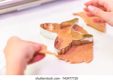 Step By Step. Learning How To Make And Decorate Halloween Cookie Decorating Class.