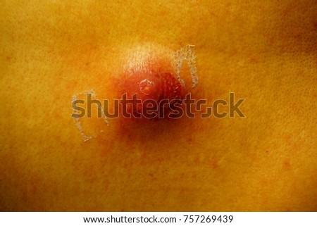 Similar – umbilicus Fluff Navel