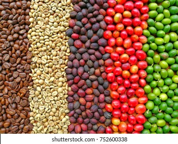 Step And Circle Of Coffee Bean, Paksong Plateau Laos Coffee Beans, Mixed Café Beans Robusta And Arabica, Food And Drink Texture Background