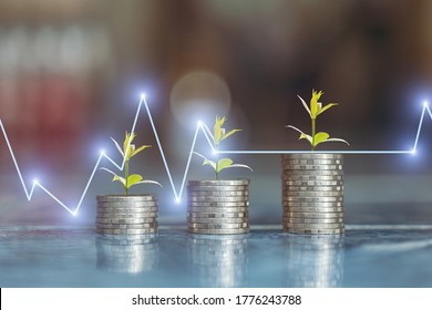 Münzstapel mit Baumwachstum, Geld-, Spar- und Anlagekonzept oder Familienplanung mit Börse- oder Devisenhandel-Diagramm.