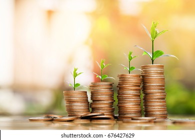 Step Of Coins Stacks With Tree Growing On Top, Nature Background, Money, Saving And Investment Or Family Planning Concept, Over Sun Flare Silhouette Tone.