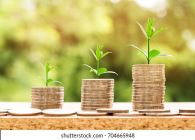 step of coins stacks with tree growing on top, nature background, money, saving and investment or family planning concept.