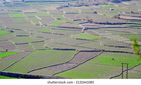 Step Farming In A Hillside Field