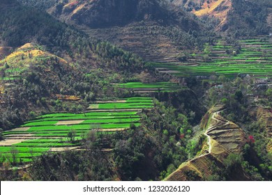 Uttarakhand agriculture Images, Stock Photos & Vectors | Shutterstock