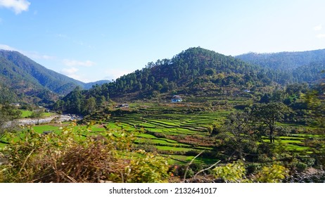 Step Farming Panoramic View Of Green Rice Paddy Fields In The Mountains