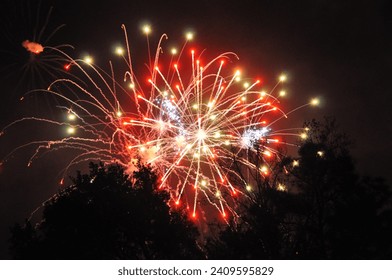 En el encantador mundo de Florida Disneyland en la víspera de Año Nuevo, donde el cielo nocturno cobra vida con vibrantes fuegos artificiales que suben tras una cautivadora silueta de árboles.