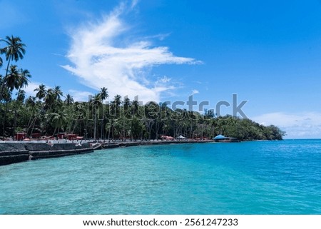 Step into paradise with pristine turquoise waters, lush greenery, and swaying palm trees stretching along the coast. The tranquil ambiance and vibrant blue skies invite travelers 
