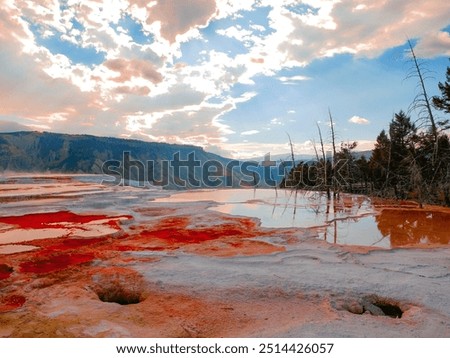 Step into a prehistoric paradise at Mammoth Hot Springs, where the Earth herself paints in vibrant hues!