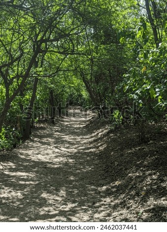 Step into the tranquility, to leave the hustle and bustle of daily life behind, and to bask in the soothing beauty of nature. #greenery #freshbreath