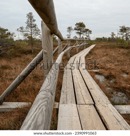 Step onto this rustic bridge, an ethereal passage through the mystical sanctuary of the marsh, where tales unravel. Lielais Kemeru Tirelis, Kemeru Nacionalais Parks, Latvija, Latvia EU