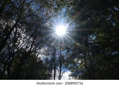 Stephen Foster State Park Wildlife And Nature