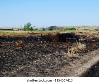 Steppe After The Fire, Scorched Earth