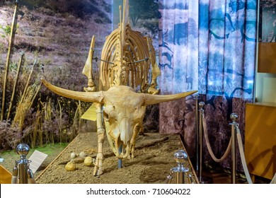 Steppe Bison Or Bison Priscus Skeleton In Museum