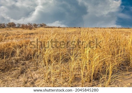 Steppe in early spring. The Eurasian Steppe, also called the Great Steppe or Steppes, is a vast steppe ecoregion from Eurasia to temperate grasslands, savannas and shrub biome
