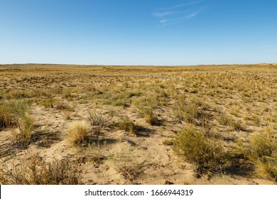 Steppe In Kazakhstan, Dry Grass And Shrub In A Desert Steppe, Landscape
