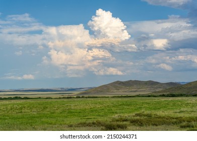 steppe, prairie, - grassy plain in the temperate and subtropical zones of the northern and southern hemisphere. Plateau. Hills. - Shutterstock ID 2150244371