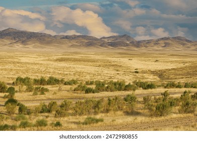 Steppe, prairie, plain, pampa. Beautiful sunset sky. Escape to the serenity of the desert, where the mountains are high, surrounded by the tranquility of the wild Desert Escape - Powered by Shutterstock