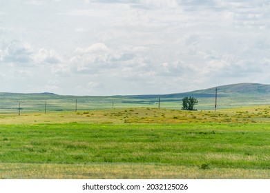 steppe, prairie, veld, veld are flat fertile lands dominated by grasses. Prairie grasses hold the soil firmly in place so erosion is minimal. Great Plains. Kazakhstan Great Steppe