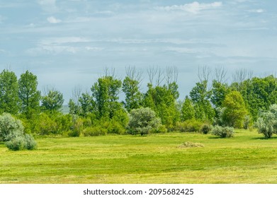 Steppe, Prairie, Veld, Veldt - Steppe Can Be Semi-arid Or Covered With Grass Or Shrubs, Or Both. The Term 