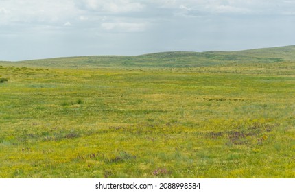 steppe, prairie, veld, veldt - grassy plain in the temperate and subtropical zones of the northern and southern hemisphere. Plateau. Hills.