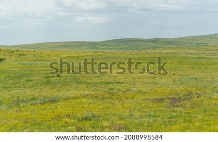 steppe, prairie, veld, veldt - grassy plain in the temperate and subtropical zones of the northern and southern hemisphere. Plateau. Hills.