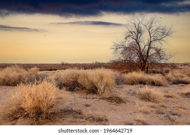 Steppe. In Spring, The Picturesque Shrub Steppe, Indented With Potholed Lakes And High Basalt Rocks, Offers Tourists A Warm And Vibrant Alternative To Snow And Rain.