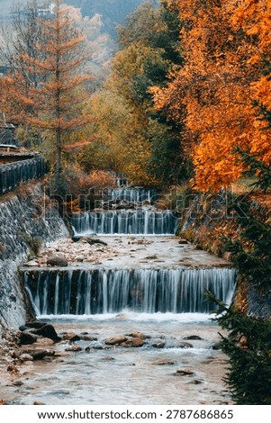 Stepped mountain stream waterfall flow through stone channel weir surrounded by vivid autumn foliage trees in seasonal alpine scenery