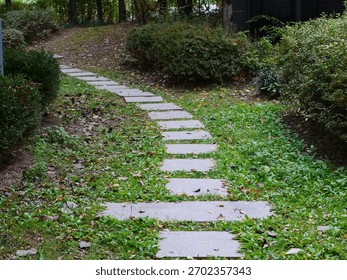 A stepped path of rectangular stone pavers leads uphill through a lush garden with scattered autumn leaves.