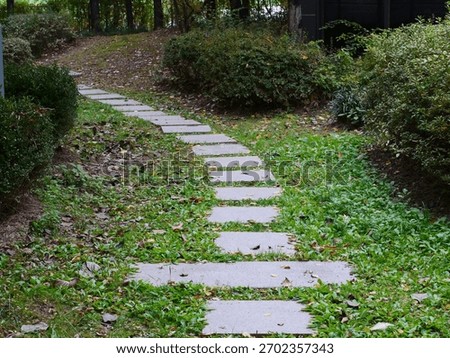 A stepped path of rectangular stone pavers leads uphill through a lush garden with scattered autumn leaves.