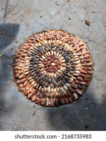 Stepping Colored Coral Circle On The Road