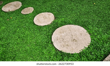 Piedra en un área de césped que a menudo se utiliza en el jardín para crear caminos
