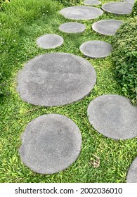 Stepping Stone At The Outdoor Mall Garden In Bangkok, Thailand