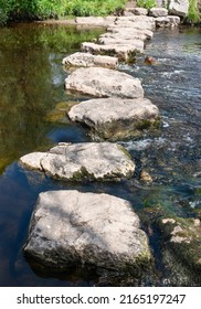 Stepping Stones Across The River Ure